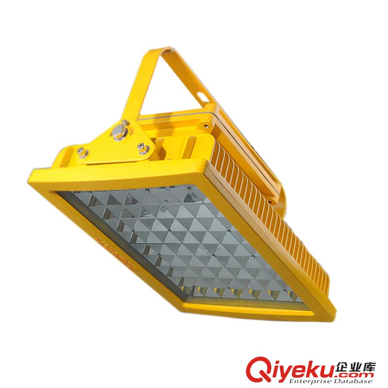 LED防爆灯100W 工业防爆灯具