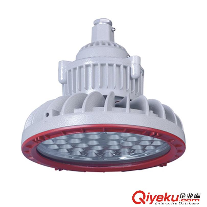 LED防爆灯,20W,30W,50W,厂家生产,现货供应,免维护防爆LED灯具