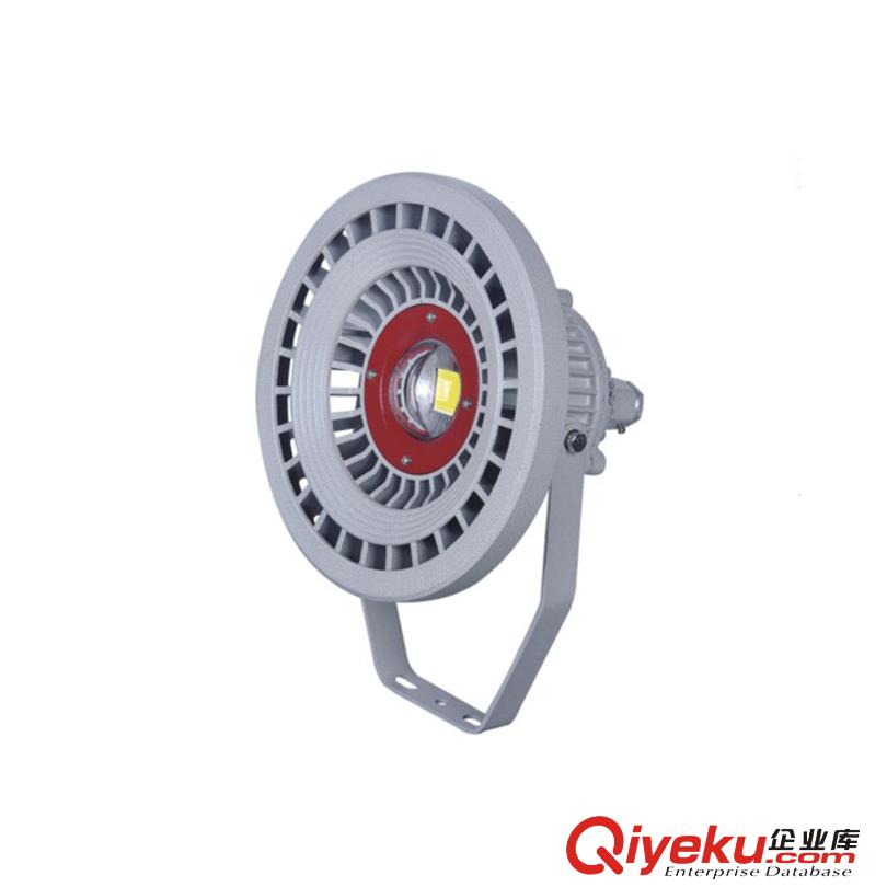 LED防爆投光灯/BLD94防爆LED节能灯/100W防爆投光灯