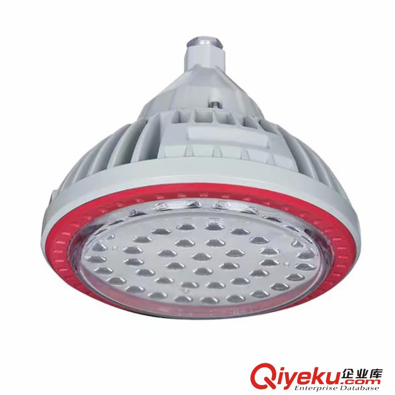 LED防爆灯，BDZ118防爆灯，BLD88免维护LED防爆节能灯
