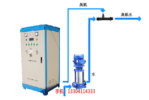 大连庄河市臭氧xx设备_大连臭氧xx设备-大连怡禾环保(图)-大连甘井子区臭氧xx设备_大连臭氧xx设备厂-大连怡禾环保