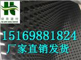 湖南%懷化市20厚30厚車庫塑料濾水板廠家