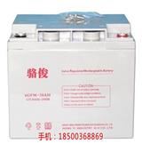 承德蓄電池廠家_6GFM38駱俊蓄電池(查看)-拉薩蓄電池供應商_6GFM38駱俊蓄電池
