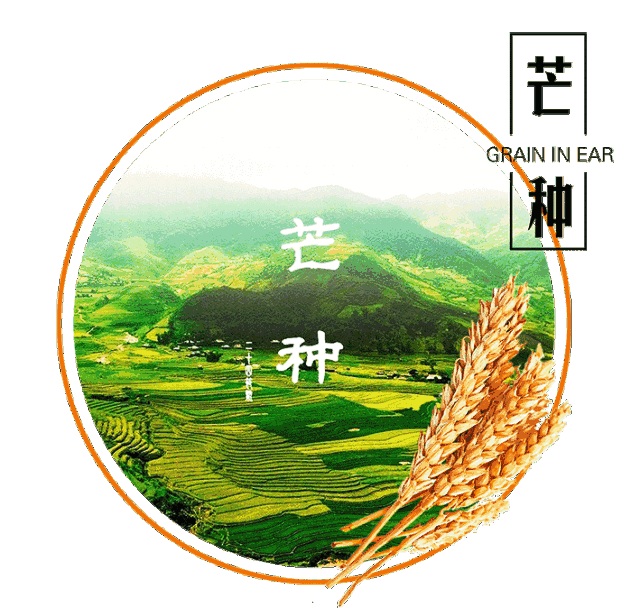 伊歌集成灶：種出夏季，獲于夏季