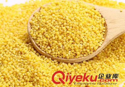 沈陽原鄉(xiāng)源來告訴我們他的作用