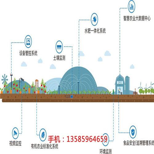 四川智能农业大棚物联网解决方案厂家价格 温湿度远程实时采集管理(在线咨询)