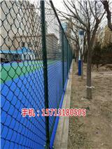 拉薩體育場圍欄廠家(查看)-青島體育場圍欄網批發