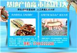 湖北振農(nóng)生態(tài)農(nóng)業(yè)發(fā)展公司_振農(nóng)9號泥鰍養(yǎng)殖_養(yǎng)殖泥鰍一畝產(chǎn)多少(多圖)