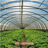 福建新型物聯(lián)網(wǎng)智能溫室大棚建設(shè)價(jià)格 植物數(shù)據(jù)實(shí)時(shí)監(jiān)測(cè)傳輸(推薦閱讀)_西安溫室大棚智能物聯(lián)網(wǎng)監(jiān)測(cè)系統(tǒng)軟硬件產(chǎn)品提供商(歡迎進(jìn)入
