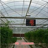 即墨智慧農(nóng)業(yè)大棚物聯(lián)網(wǎng)解決方案哪家好 實(shí)時(shí)監(jiān)測(cè)溫濕度數(shù)據(jù)(多圖)-西安全自動(dòng)智能物聯(lián)網(wǎng)溫室大棚廠家 溫濕度實(shí)時(shí)監(jiān)測(cè)控制
