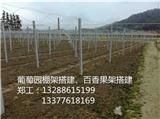 撫州葡萄園搭建造價(jià)_撫州水果蔬菜棚架水泥柱(優(yōu)質(zhì)商家)新聞網(wǎng)
