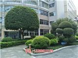 河源園林綠化養護施工_河源園林綠化養護施工(圖)_河源綠化工程_河源室外綠化養護(歡迎進入