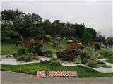 河源工廠種草_河源工廠綠化養護(推薦閱讀)-河源園林綠化基地_河源綠化工程價格