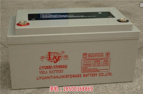 梅州蓄電池供應商_LY25000力源蓄電池(圖)-梅州蓄電池價格_LY12170力源蓄電池