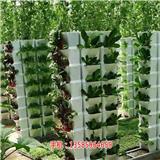 福建智能蔬菜大棚物聯(lián)網(wǎng)系統(tǒng)方案多少錢 植物生長可視化(推薦商家)(圖)-安徽物聯(lián)網(wǎng)智慧農(nóng)業(yè)解決方案廠家 農(nóng)業(yè)溫室大棚可視化植物生長