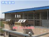 濱州養(yǎng)殖防護(hù)網(wǎng)(圖)_大理養(yǎng)鴨鐵絲網(wǎng)廠家(歡迎進(jìn)入