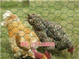 衡陽養(yǎng)殖圍欄網批發(fā)(推薦閱讀)_東營養(yǎng)殖圍欄網(歡迎進入