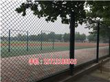 泰安運(yùn)動(dòng)場(chǎng)護(hù)欄(優(yōu)質(zhì)商家)-喀什體育場(chǎng)圍欄網(wǎng)多少錢
