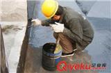 沈陽(yáng)防水堵漏哪家好