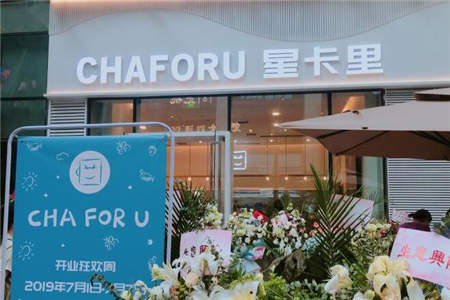 星卡里奶茶怎么加盟？CHAFORU星卡里奶茶官网