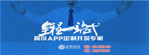 深圳APP开发公司_深圳安卓APP开发App定制开发公司_深圳共享储物柜App定制开发公司-粉果科技