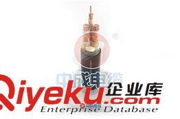 為什么中成電纜制造有限公司會成為一家成功的企業(yè)