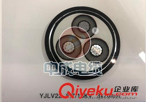 為什么中成電纜制造有限公司成功