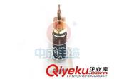 如何選擇低壓電線電纜的型號