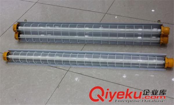防爆灯LED40w80w双管隔爆型防爆荧光灯