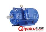 安裝YE2三相異步電動機注意