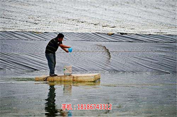 天台楚襄农海大南美白对虾虾苗厂家