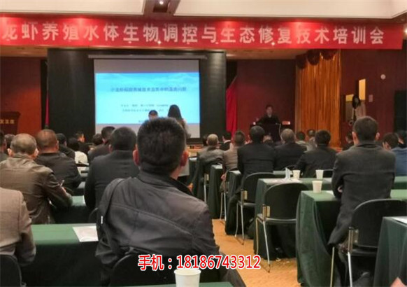 铜陵县楚襄农南美白对虾造福社会