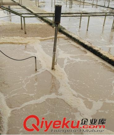 LFPQ-B系列潛水曝氣機原始圖片3
