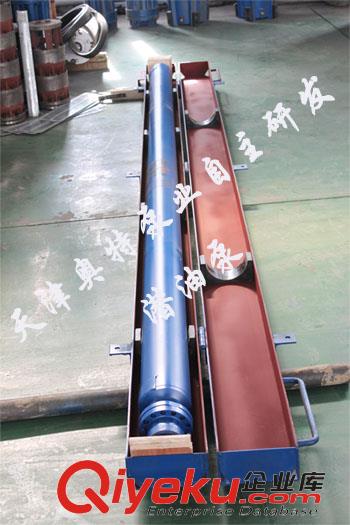 高揚程_大流量_抽油用潛油電泵津奧特廠家