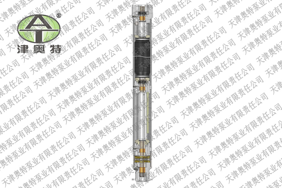 耐高温_变频_温泉用潜油电泵