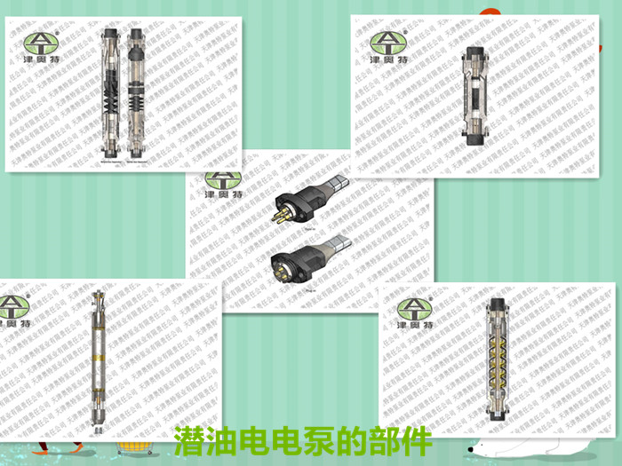 潛油電泵QYDB的價格參數(shù)及材質應用原始圖片2
