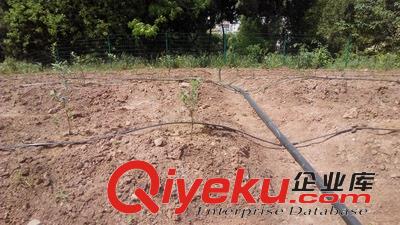成都做滴灌的公司在四川潤(rùn)隆灌溉科技原始圖片2