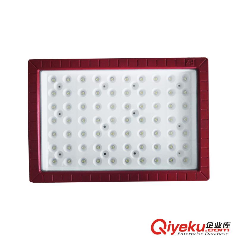 100W防爆燈150W led防爆工廠泛光燈 250W防爆LED燈原始圖片2