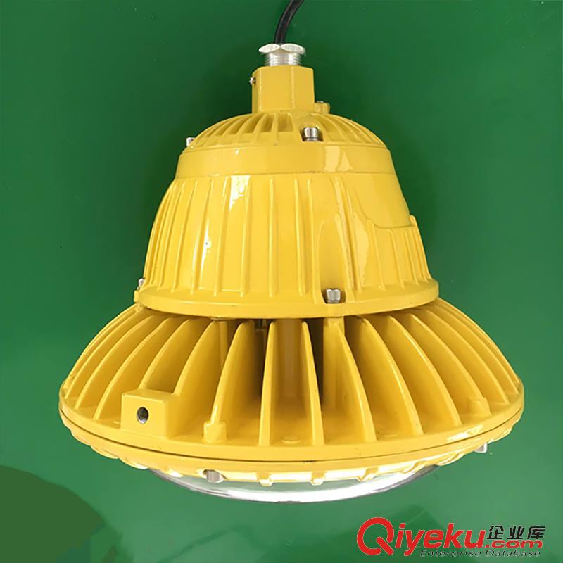 LED防爆燈100W 工業防爆燈具