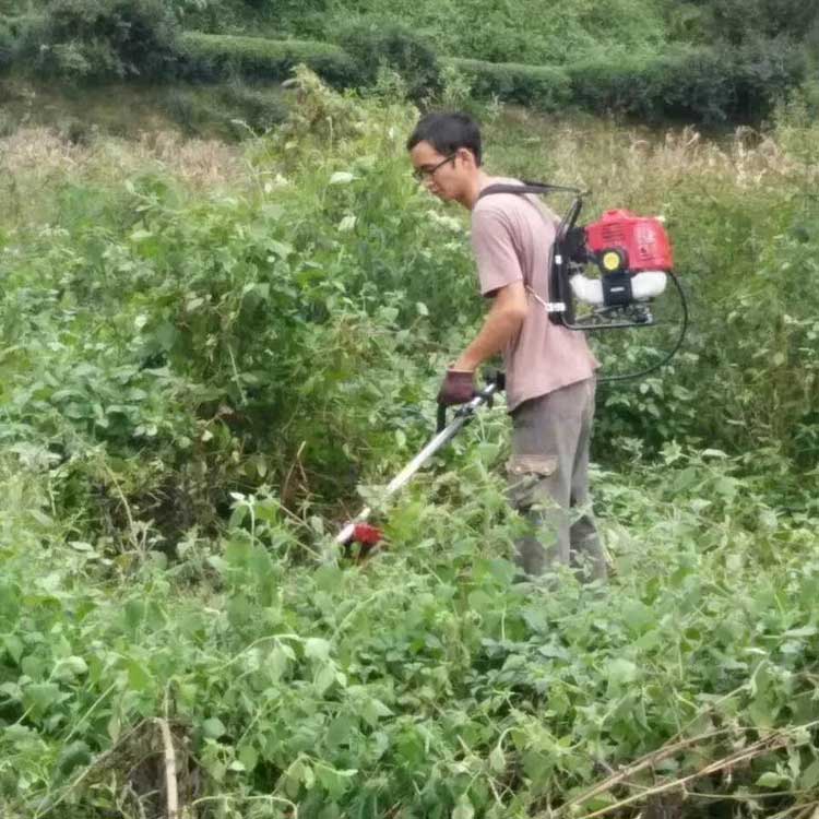 張掖市修剪草坪機電動鋤頭氣動剪草機價格