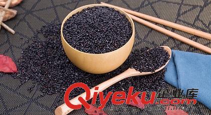 薏米