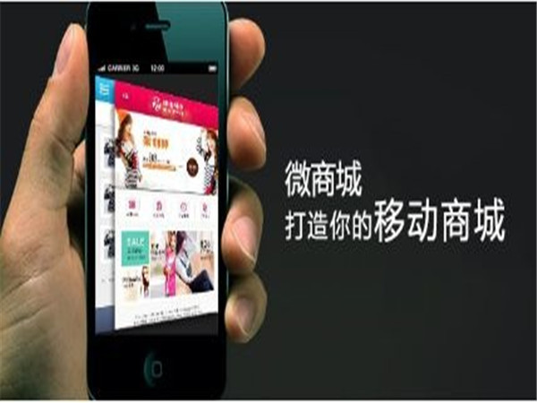 微商城分銷，搭建微商城，微信開發平臺原始圖片3