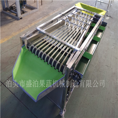 微型土豆分級機(jī) 微型薯選果機(jī) 小土豆分選機(jī)