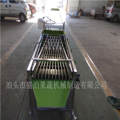 微型土豆分級機(jī) 微型薯選果機(jī) 小土豆分選機(jī)