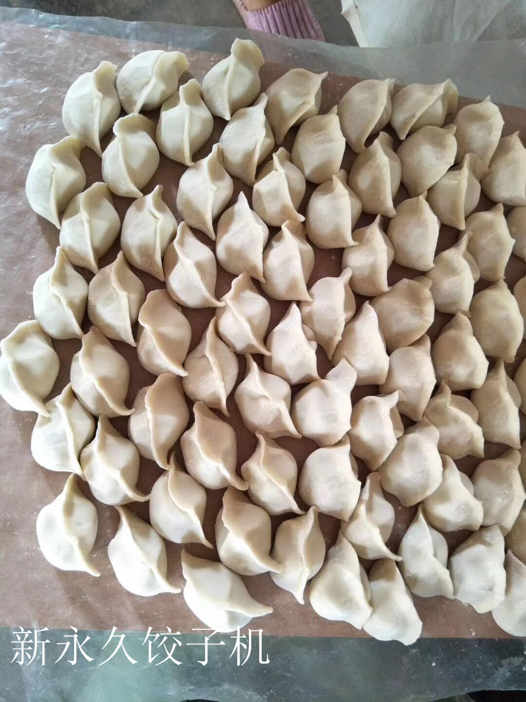 供應(yīng)批發(fā)全自動餃子機(jī)小型水餃機(jī)原始圖片2