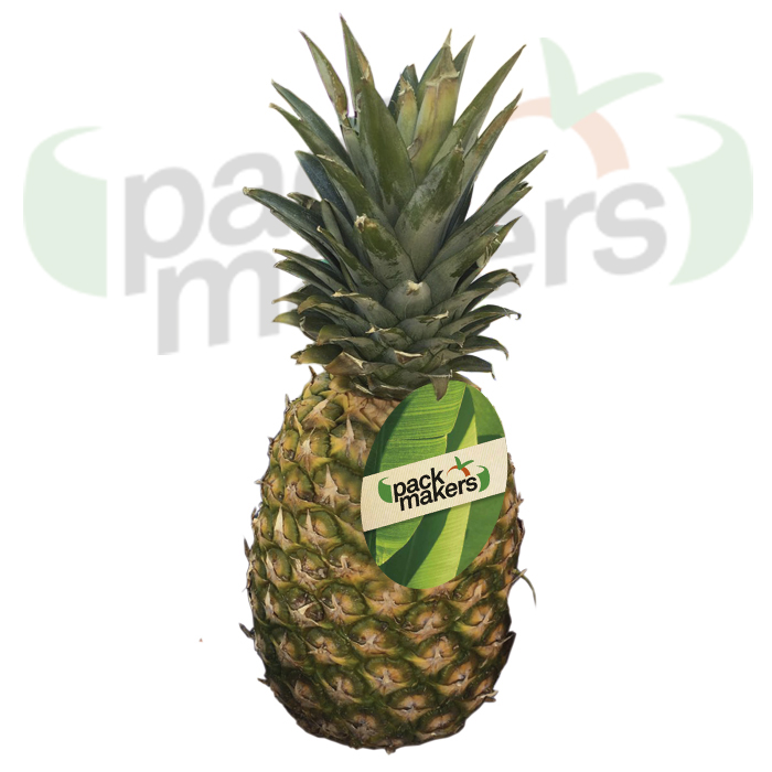 kraft paper or coated paper Identification labels for fruits