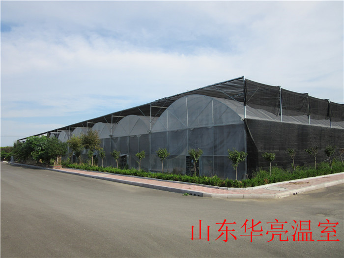 河南溫室大棚建造 智能溫室大棚報價 連棟薄膜溫室大棚原始圖片2