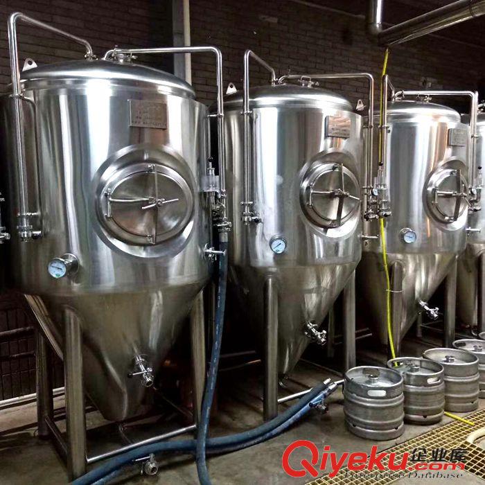 供應(yīng)史密力維1000升自釀原漿啤酒設(shè)備