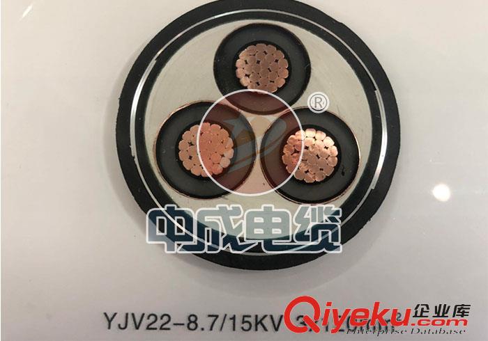 高壓電纜廠家
