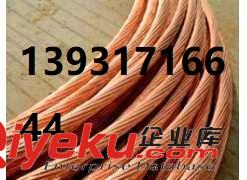 滄州{gx}接地模塊廠家直銷